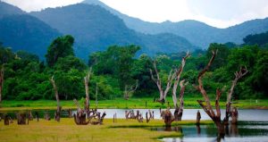 Gal Oya National Park