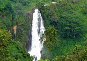 Devon Falls